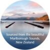 Green Lipped Mussel - 90 Capsules - The Miracle From New Zealand for Arthritis Care and Joint Health - Image 2