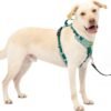 PetSafe Easy Walk Comfort No Pull Dog Harness, Green Gingham, Large - Image 1
