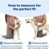 PetSafe Easy Walk Comfort No Pull Dog Harness, Green Gingham, Large - Image 4