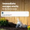 PetSafe GPS Dog Tracker + 3 Month Subscription, Live GPS Tracking - Image 4
